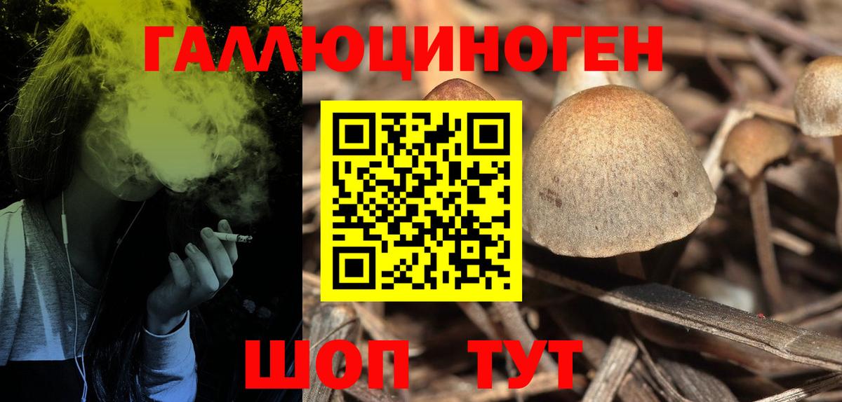 Галлюциногенные грибы мухоморы  Псилоцибиновые грибы Cubensis  Сунжа  Вход с VPN 